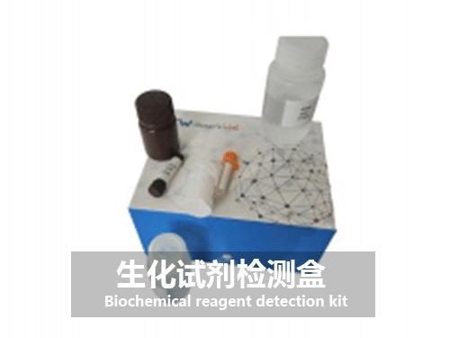 生化试剂检测盒