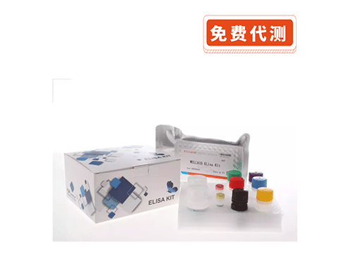 ELISA 试剂盒