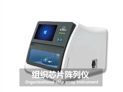 组织芯片阵列仪